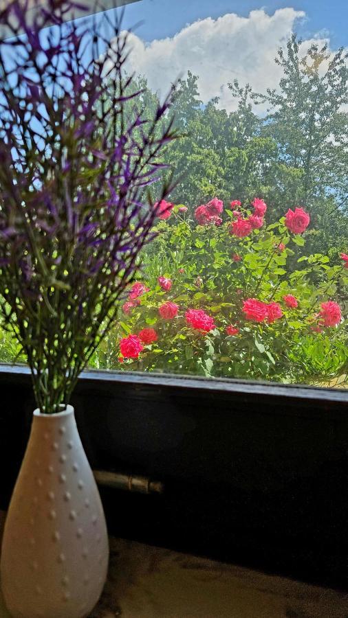 Ferienwohnung Rodder Maar Niederzissen ภายนอก รูปภาพ