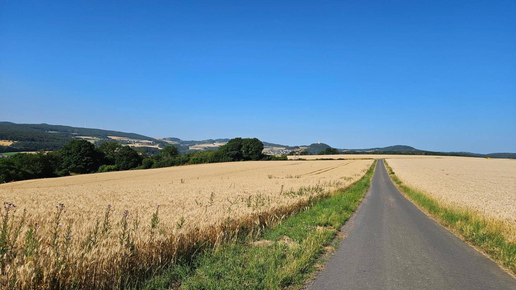 Ferienwohnung Rodder Maar Niederzissen ภายนอก รูปภาพ